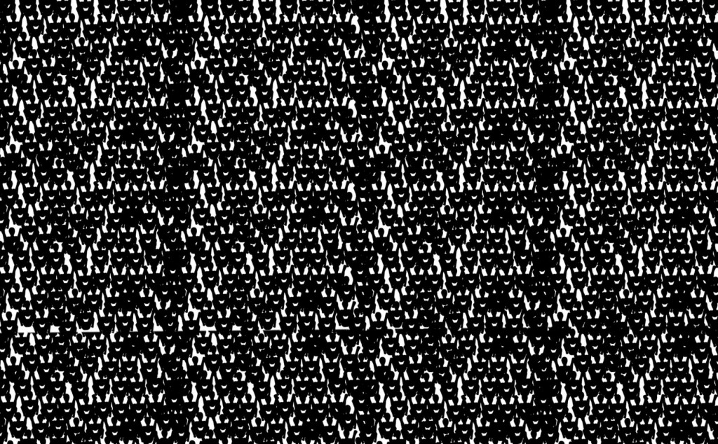 41